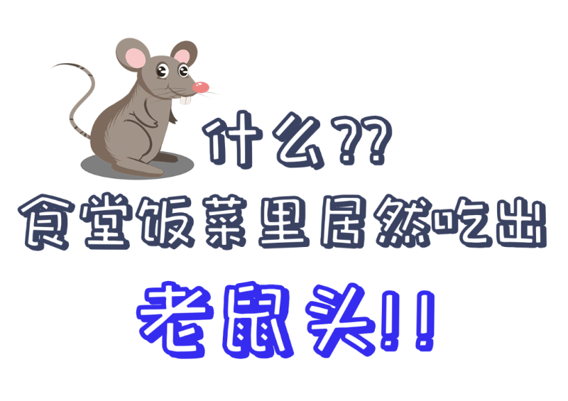 公共食堂又爆雷！饭菜吃出老鼠头？？看看球盟会(中国)新材怎么做......